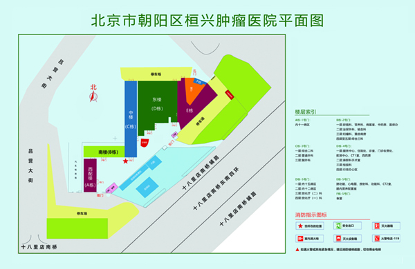 贵州艹老B毛片视频北京市朝阳区桓兴肿瘤医院平面图